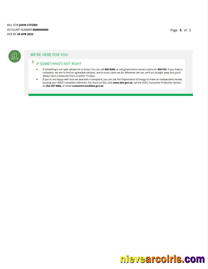 UAE Abu Dhabi Al Ain Distribution Co 5 pages 5